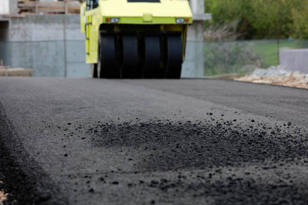 Best Driveway Paving Contractor  in Plum Grove, TX
