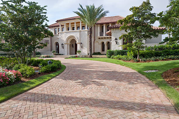 Best Driveway Paving Company  in Plum Grove, TX