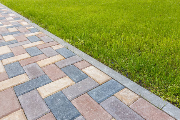 Best Interlocking Driveway Pavers  in Plum Grove, TX